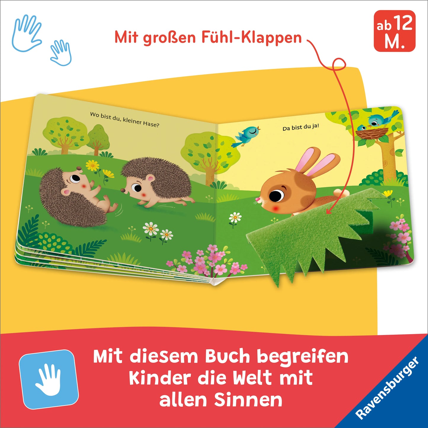 Wo bist du, kleiner Hase? ab 12 Monaten