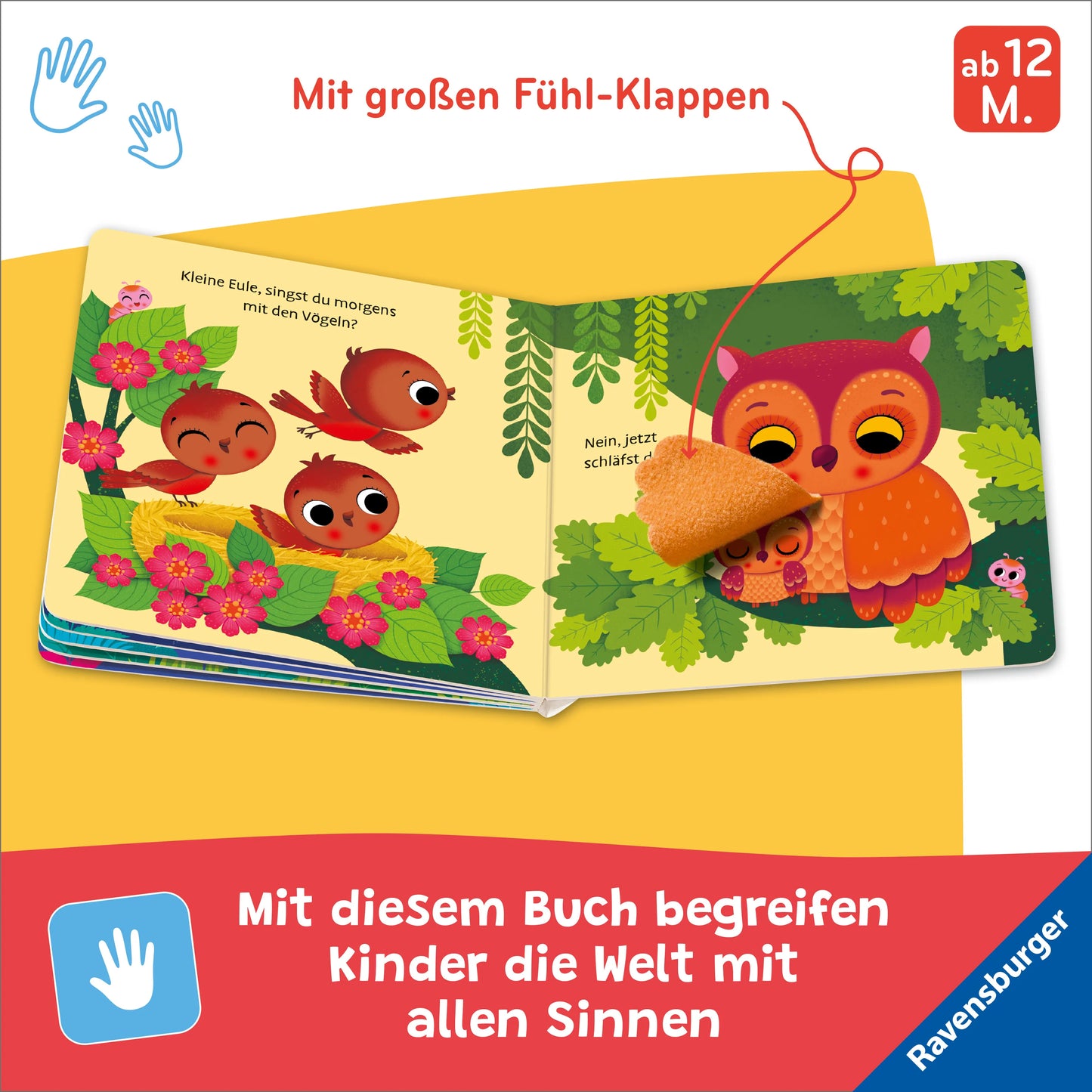 Wo bist du, kleine Eule? ab 12 Monaten