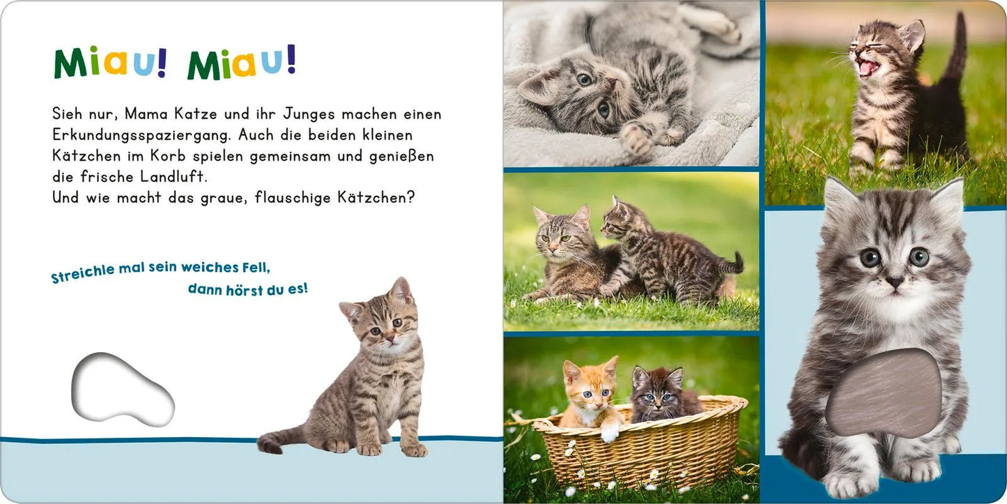 Hör mal rein, wer kann das sein? - Meine ersten Tiere ab 6 Monate