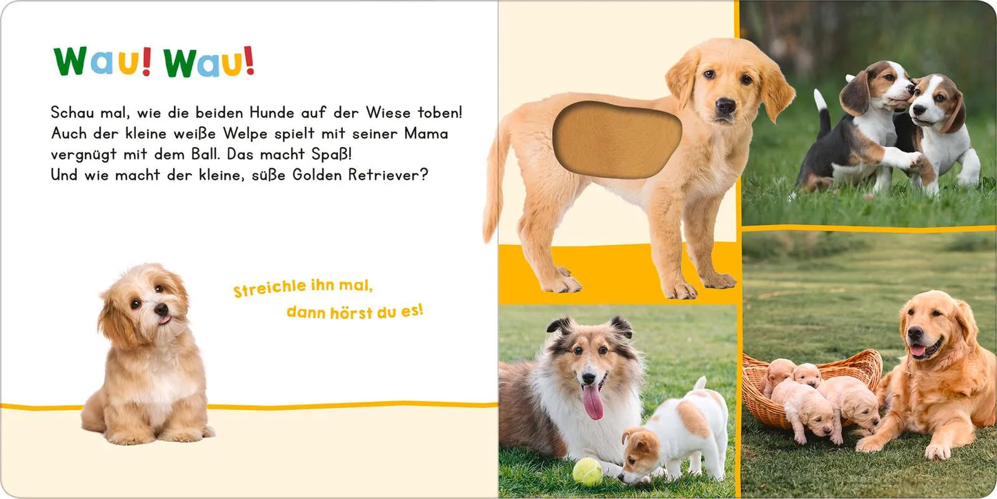 Hör mal rein, wer kann das sein? - Meine ersten Tiere ab 6 Monate