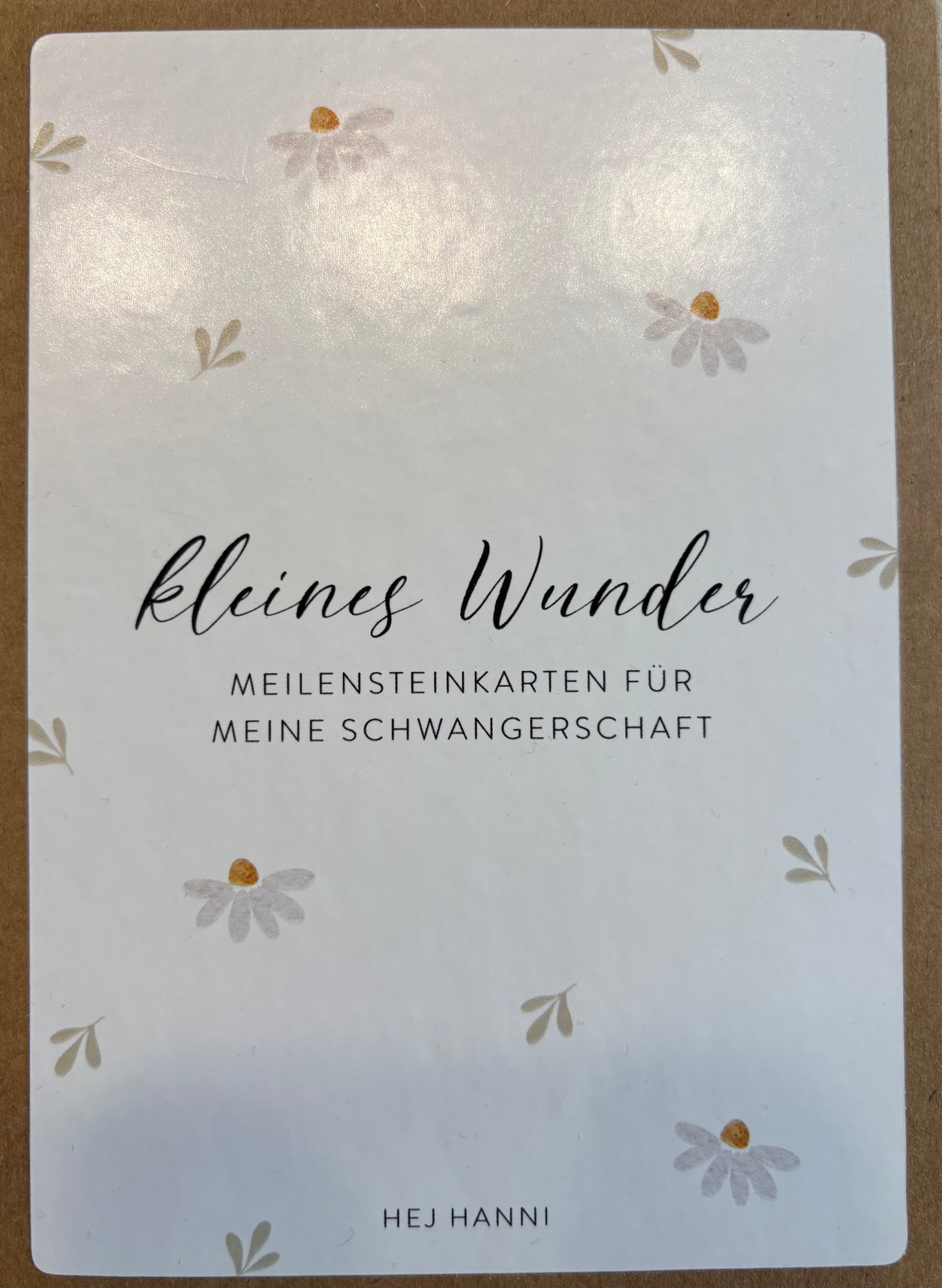 Hej Hanni Meilensteinkarten für die Schwangerschaft