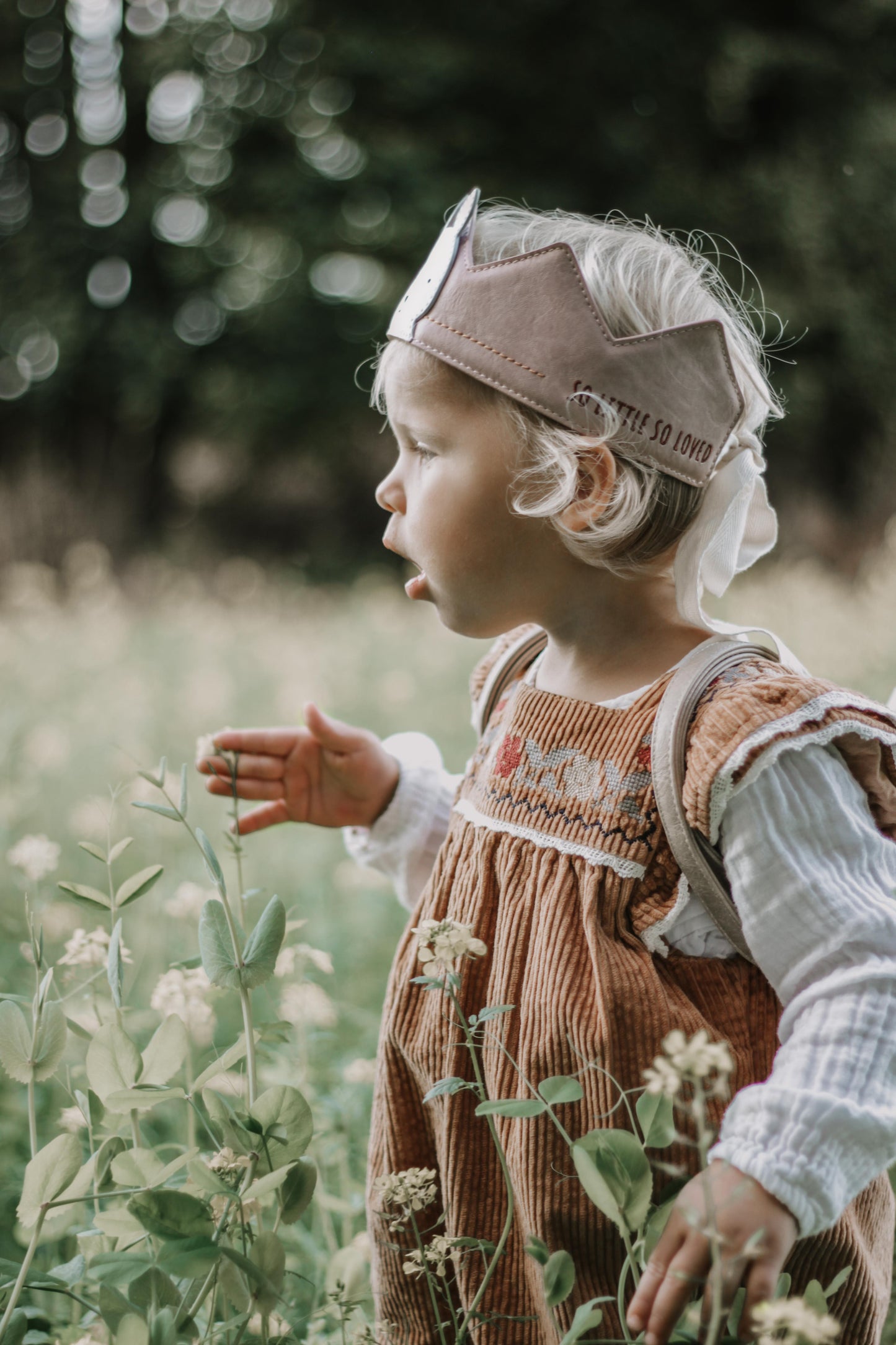 Little Who Krone Hase Heidi